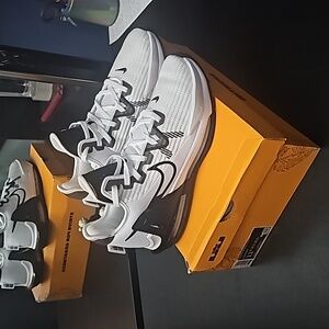 Nike LeBron Witness 6 TB Size 11.5